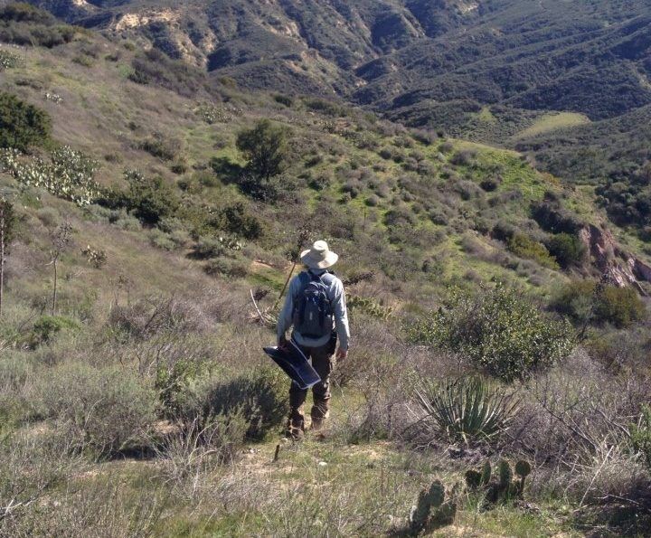 Leatherman BioConsulting, Biological Surveys, Southern California