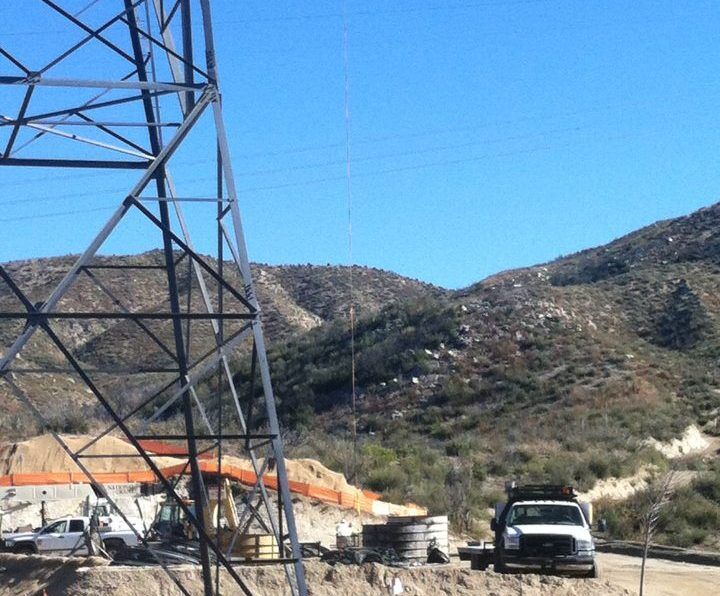 Leatherman BioConsulting, Biological Surveys, Southern California