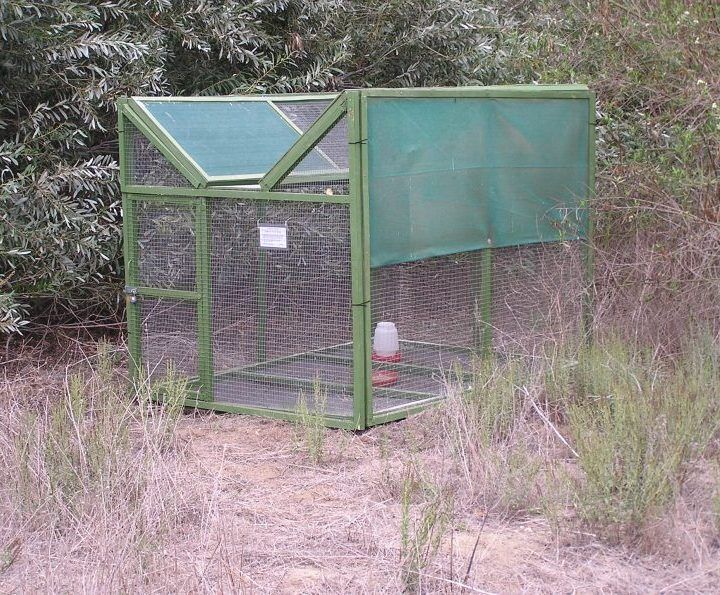 Leatherman BioConsulting, Biological Surveys, Southern California