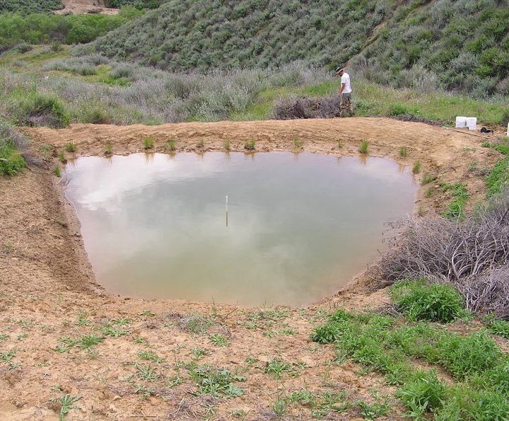 Leatherman BioConsulting, Biological Surveys, Southern California