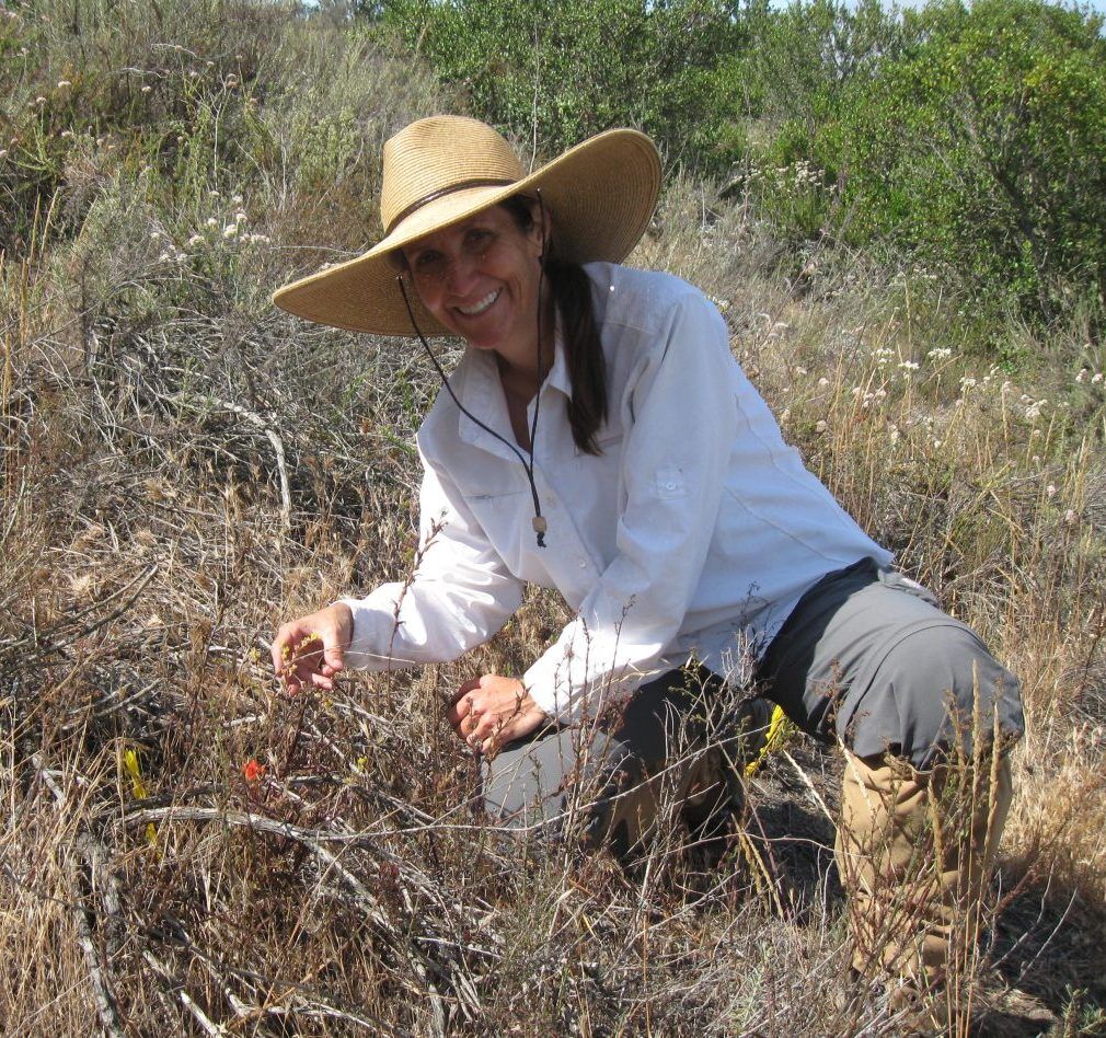 Sandy Leatherman BioConsulting, Biological Surveys, Southern California