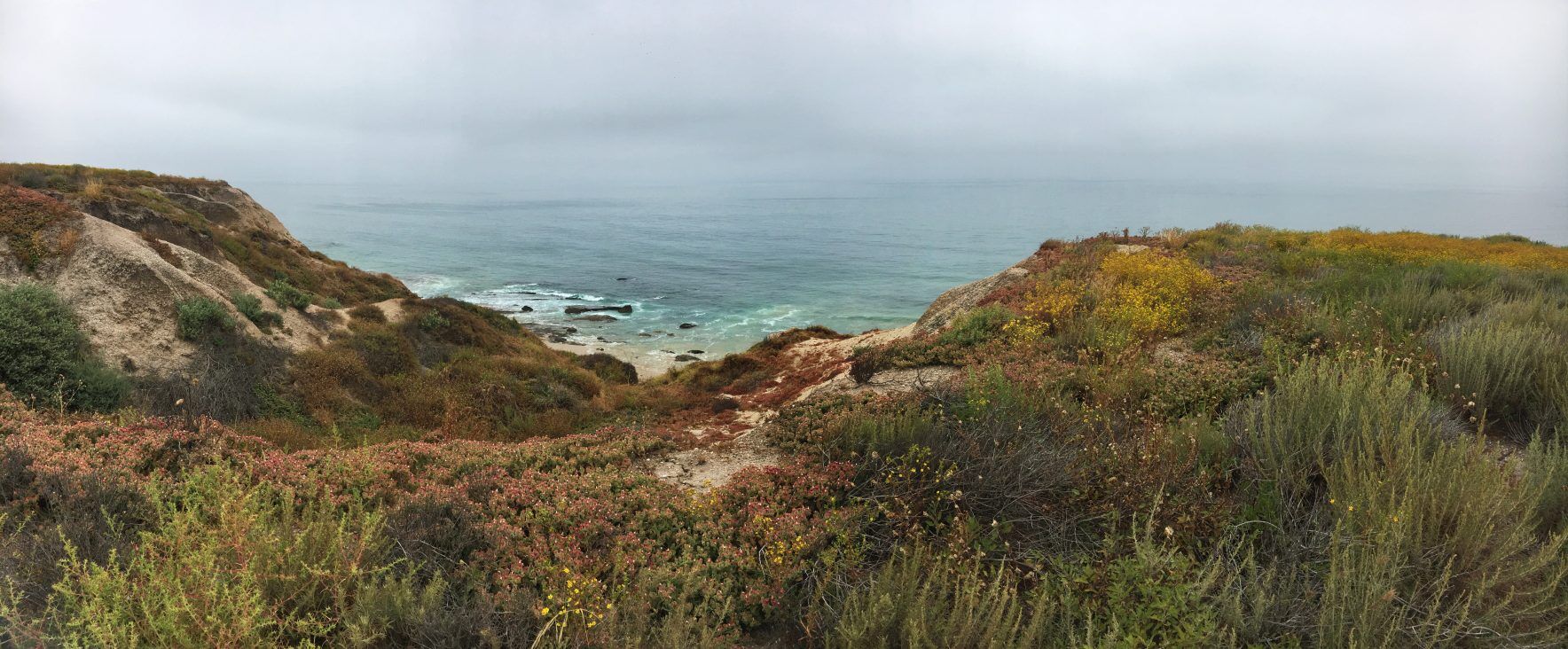 Crystal Cove State Park Inventory Crystal Cove State Park Inventory