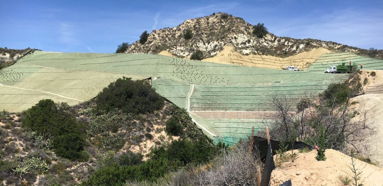 Tesoro Water Facilities Project Restoration Design & Planning, Leatherman BioConsulting, SoCal