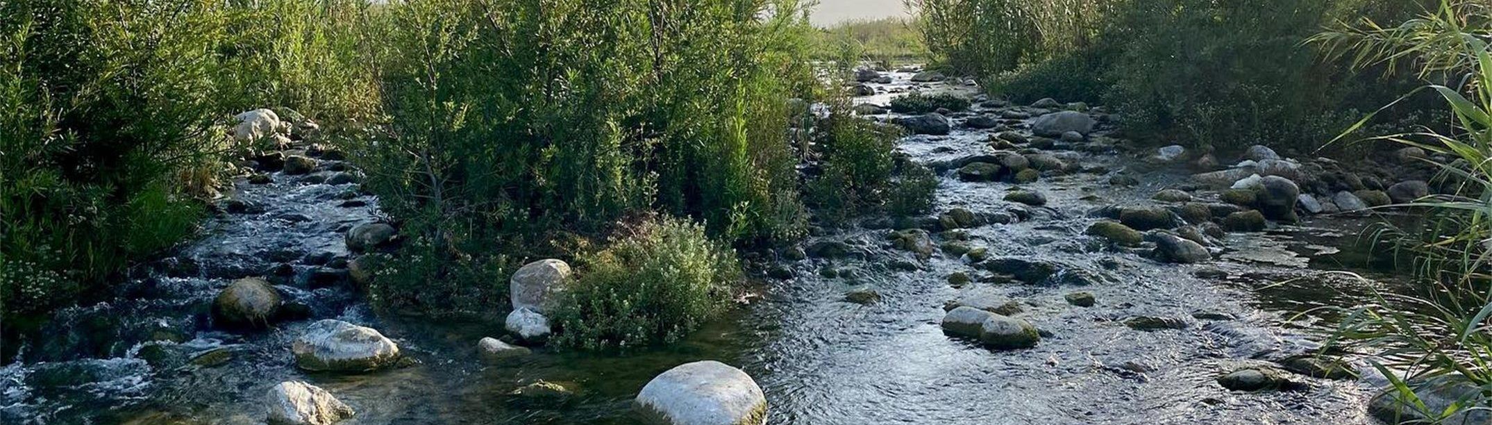Leatherman Bio Inc River Project Leatherman BioConsulting, Biological Surveys, Southern California