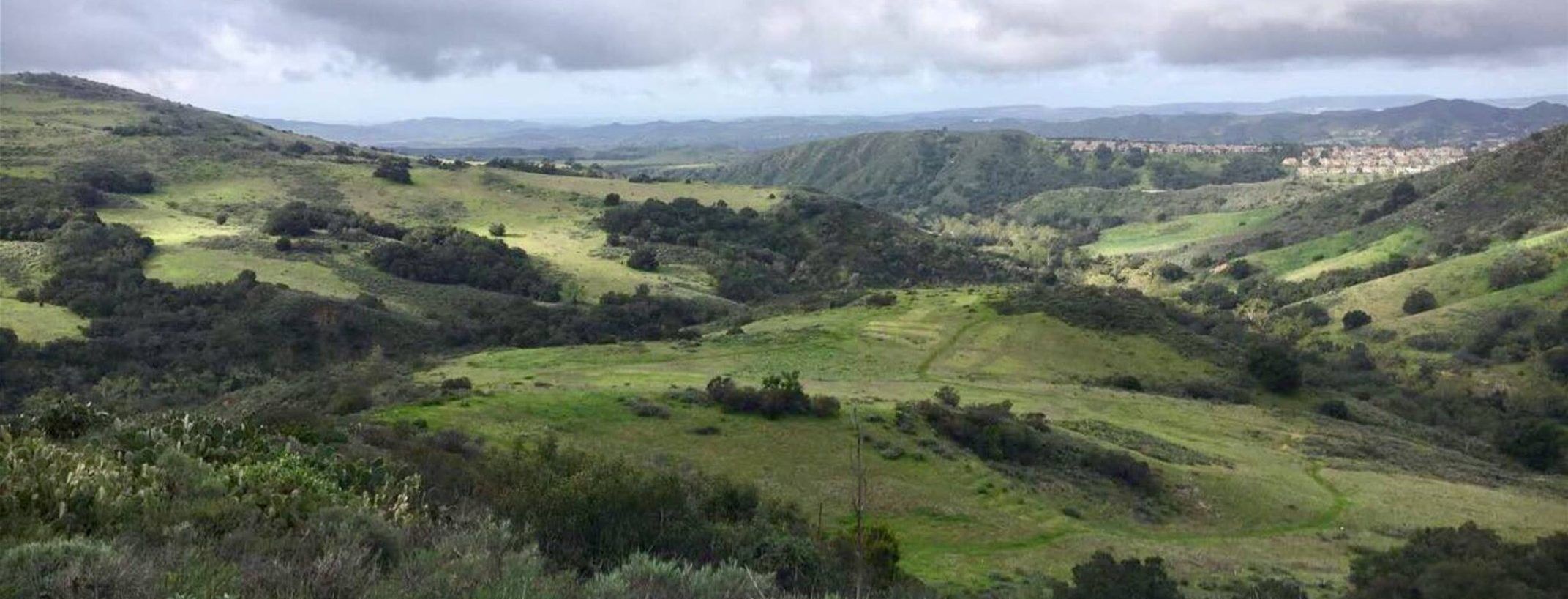 Leatherman Bio Inc Leatherman BioConsulting, Biological Surveys, Southern California